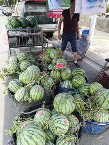 宝坻吃瓜网红事件视频